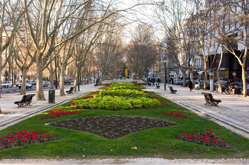 In the most cosmopolitan avenue of Lisbon, lives a Boutique Hotel with your home's comfort.